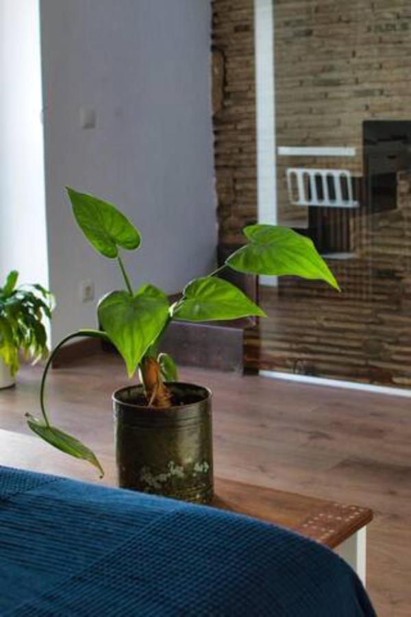 Casa Particular Mediterranea En El Centrico Casco Antiguo A Un Paso Del Mar Dénia Eksteriør billede